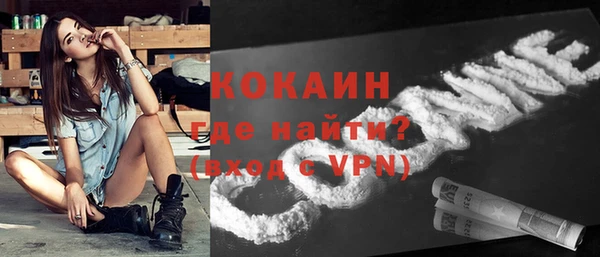стафф Карпинск