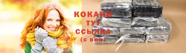 стафф Карпинск