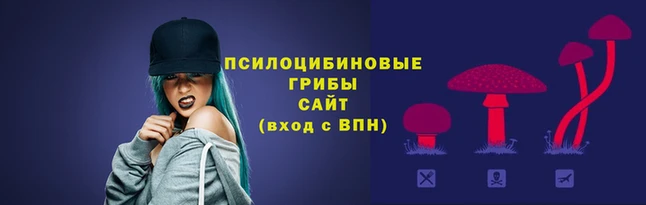 стафф Карпинск