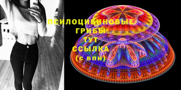 стафф Карпинск