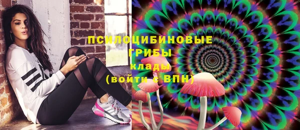 стафф Карпинск