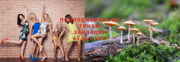 стафф Карпинск