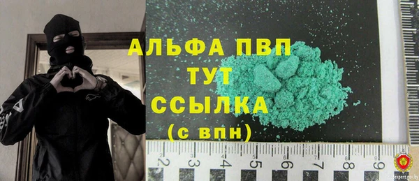 стафф Карпинск