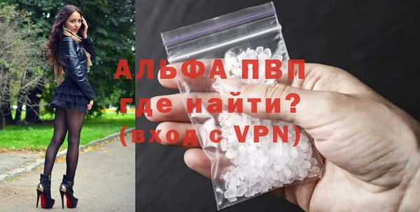 стафф Карпинск