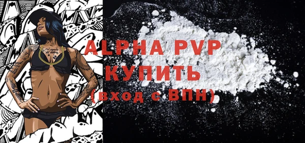 стафф Карпинск