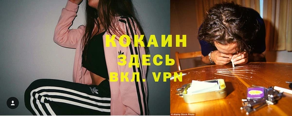 стафф Карпинск
